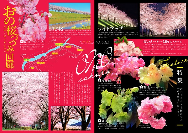 おの桜２.jpg