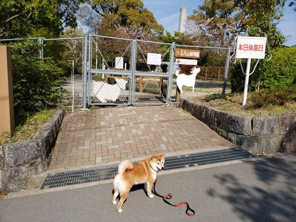 はな散歩７・動物園.jpg