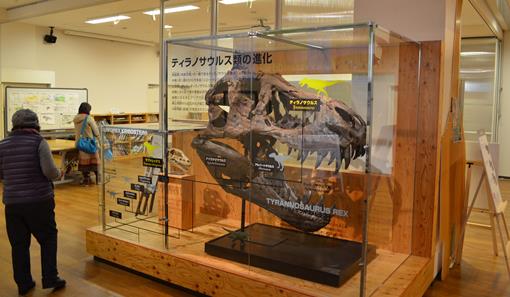 丹波竜７・ティラノサウルス頭部.jpg