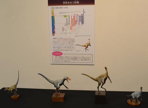 丹波竜８・羽毛をもつ恐竜.jpg