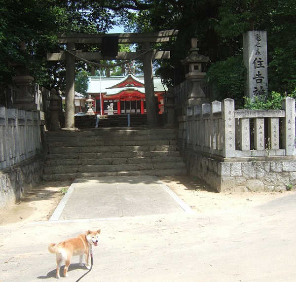 住吉神社１.jpg