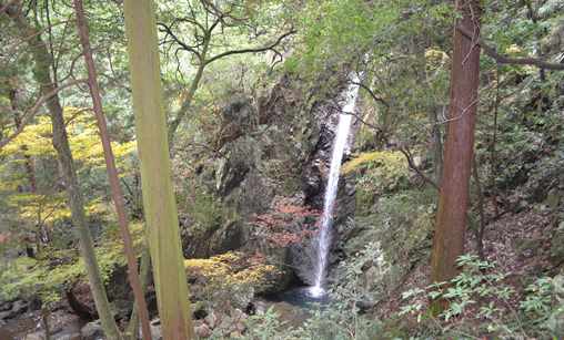 岩瀧寺２１・石段の途中から見る滝.jpg