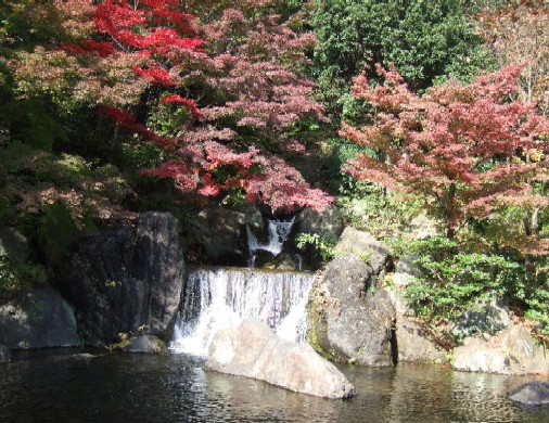 日本庭園・滝.JPG