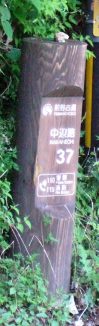 熊野171・37番.jpg