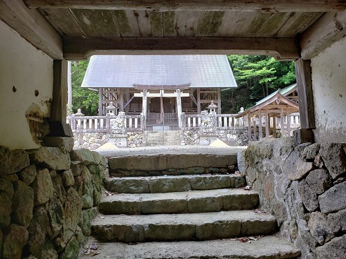素盞嗚神社５・長床の床下から本殿を望む.jpg