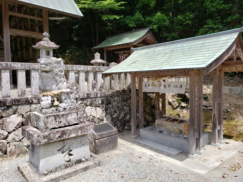 素盞嗚神社７・手水舎と狛犬.jpg