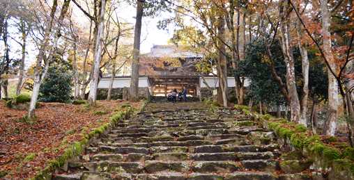 高源寺１０・山門への石段.jpg